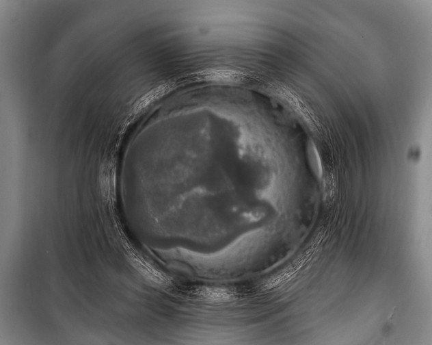 X0000101150349200806270948