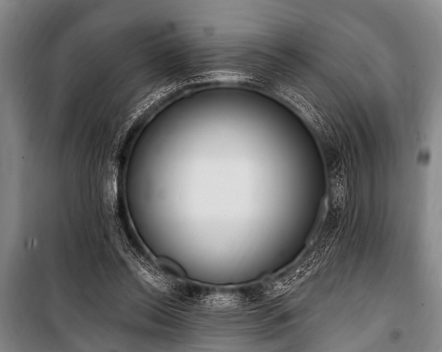 X0000101150350200806270948