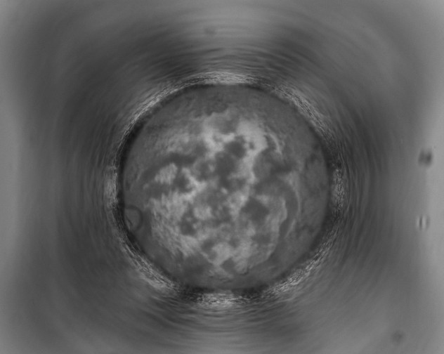 X0000101150351200806270948