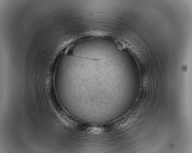X0000101150352200806270949