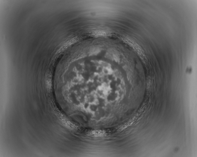 X0000101150353200806270949