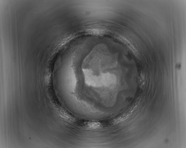 X0000101150355200806270949