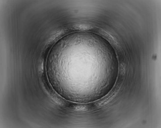 X0000101150358200806270949