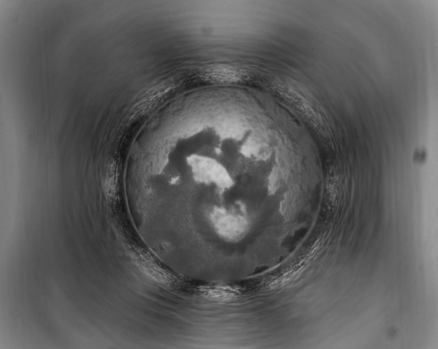 X0000101150359200806270949