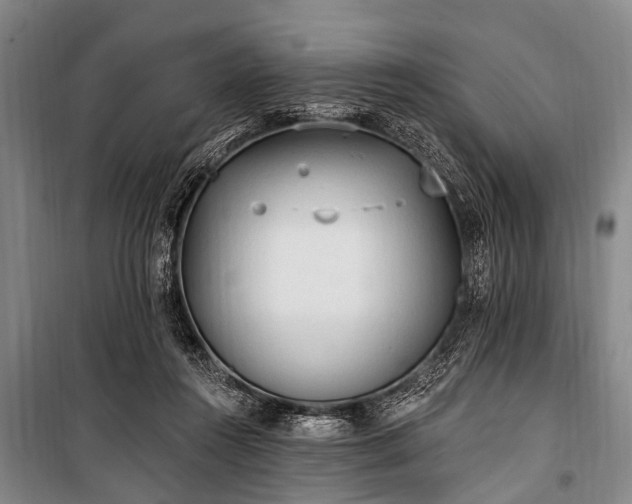 X0000101150360200806270949