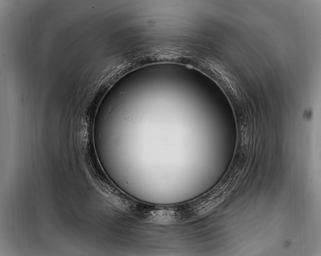 X0000101150362200806270949