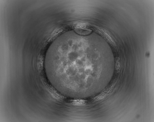 X0000101150363200806270949