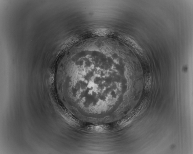 X0000101150365200806270949