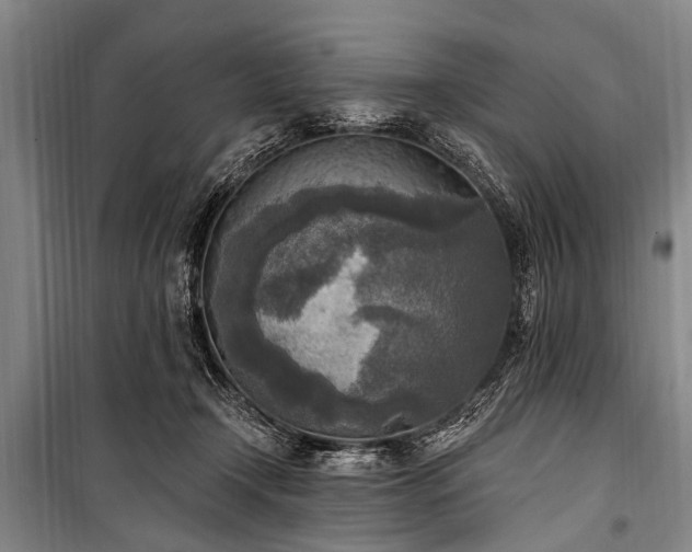 X0000101150366200806270949