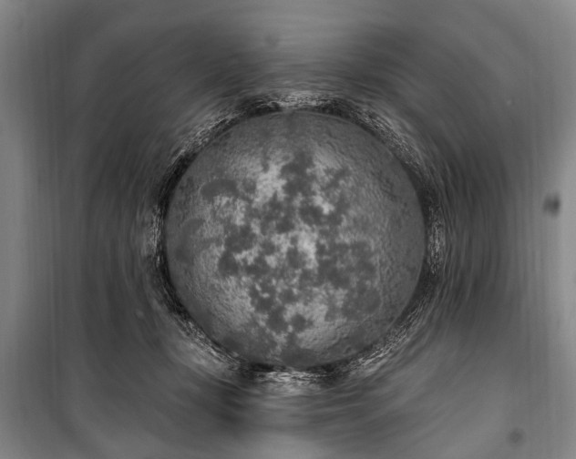 X0000101150367200806270949