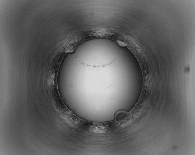 X0000101150368200806270949