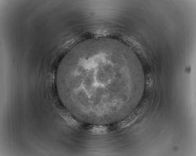 X0000101150369200806270949