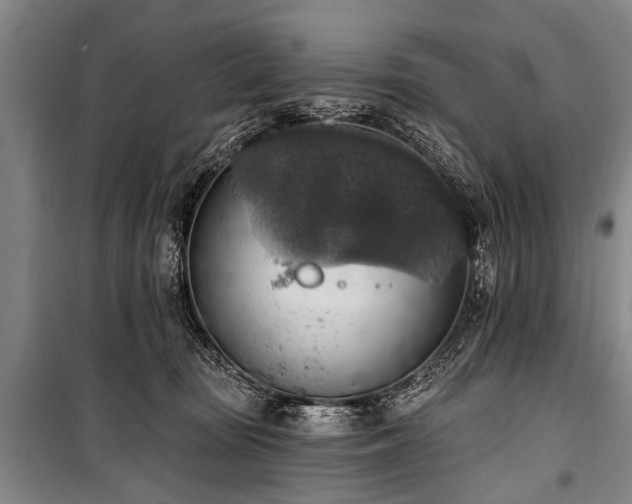 X0000101150371200806270949