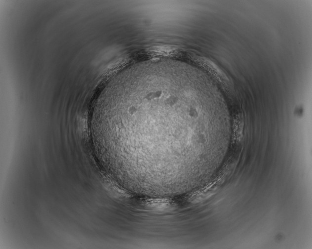 X0000101150377200806270949