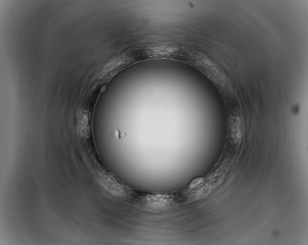 X0000101150378200806270949