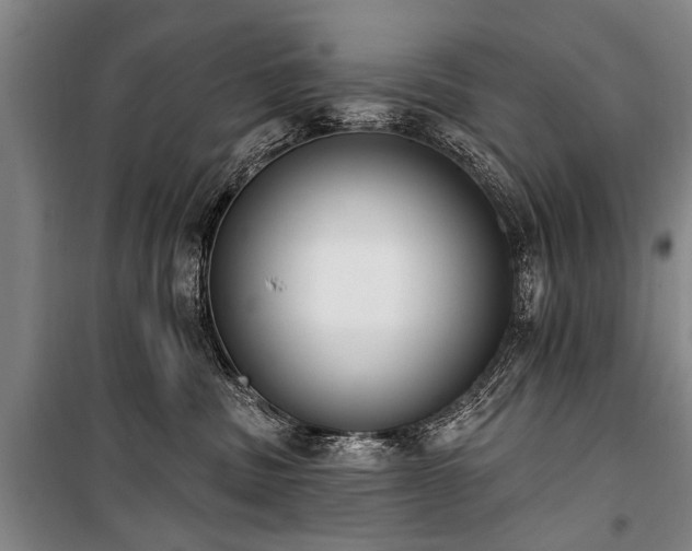 X0000101150379200806270949