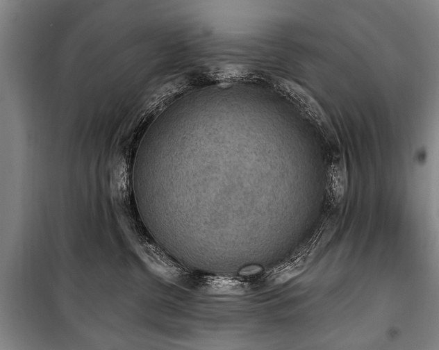 X0000101150380200806270949