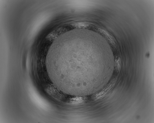 X0000101150381200806270949