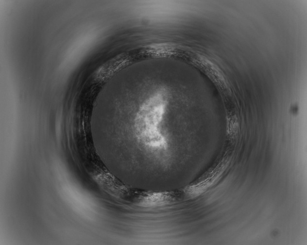 X0000101150382200806270949