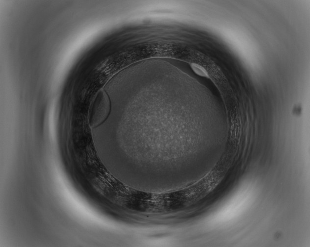 X0000101150383200806270949