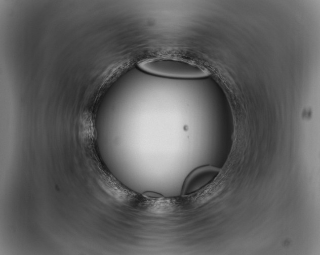 X0000101150384200806270949