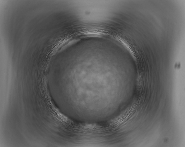 X0000101150385200806270948