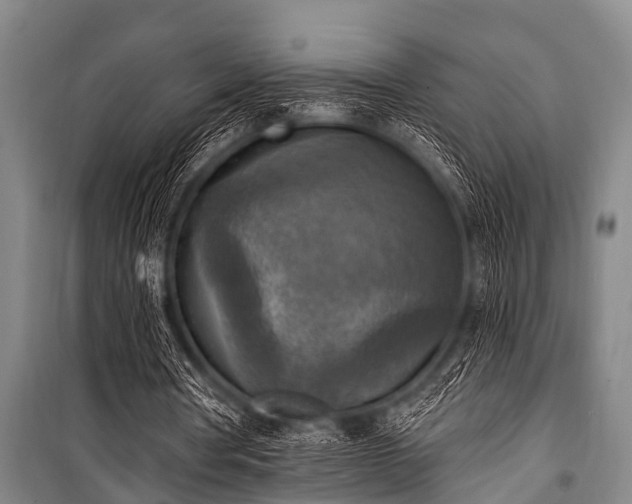 X0000101150386200806270948