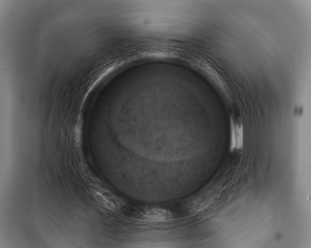 X0000101150387200806270948