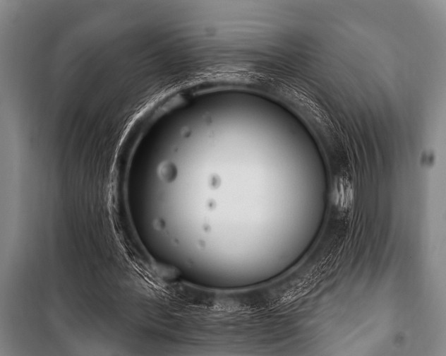 X0000101150388200806270948