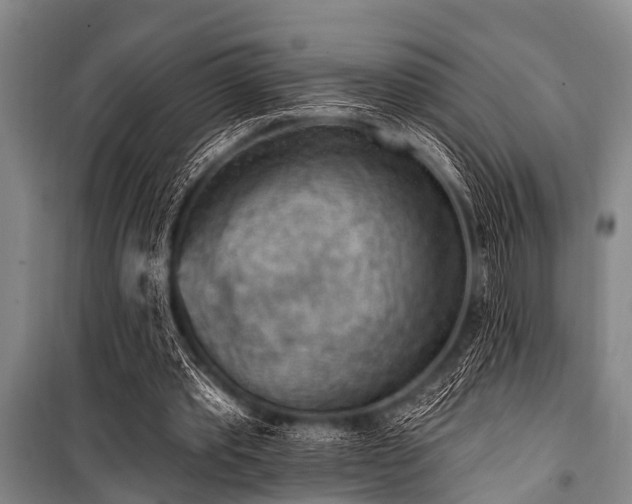 X0000101150389200806270948