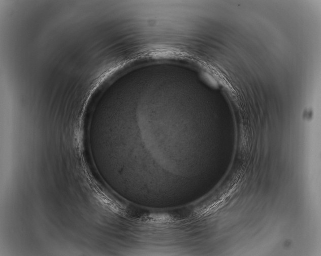 X0000101150391200806270948