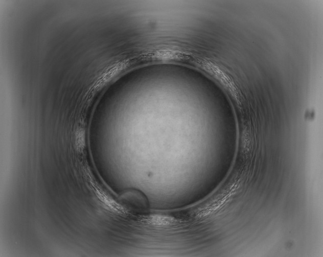 X0000101150393200806270948