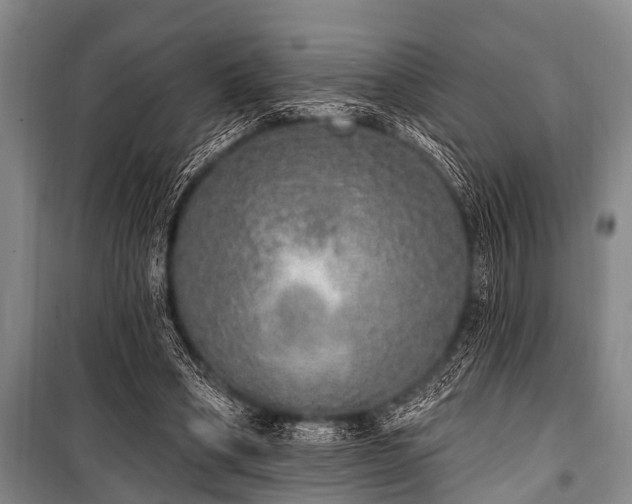 X0000101150394200806270948