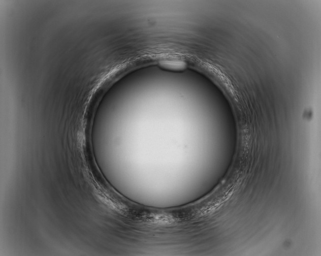 X0000101150395200806270948