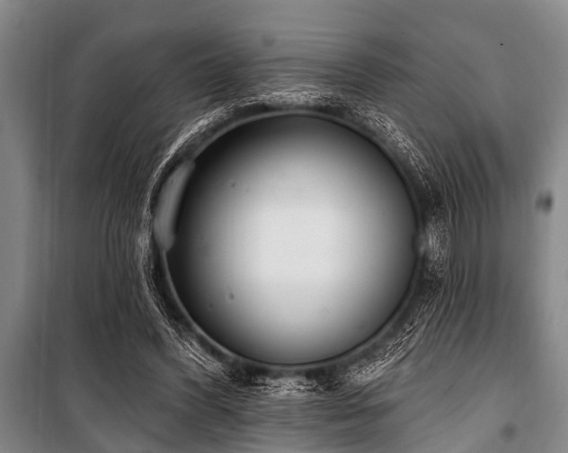 X0000101150396200806270948