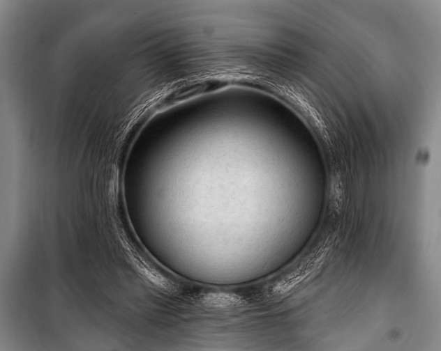 X0000101150397200806270948