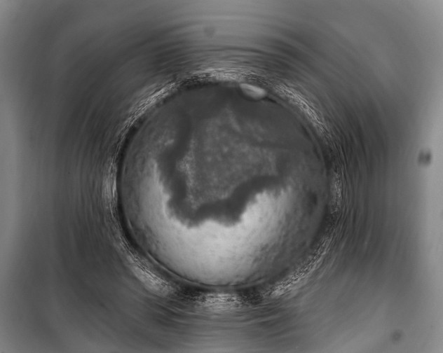 X0000101150398200806270948