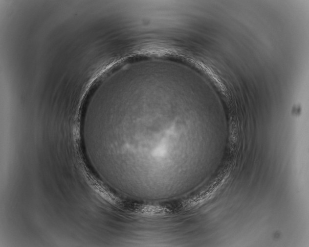 X0000101150399200806270948