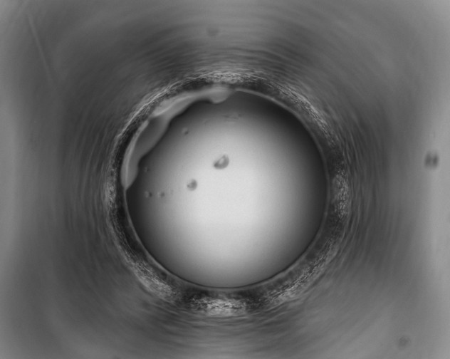 X0000101150400200806270948