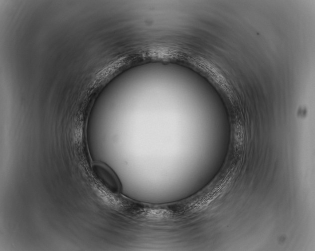 X0000101150401200806270948