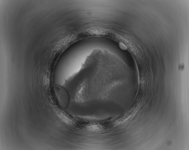 X0000101150402200806270948