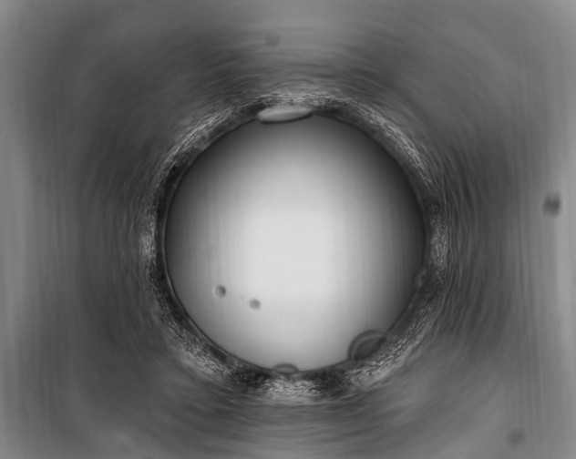 X0000101150403200806270948