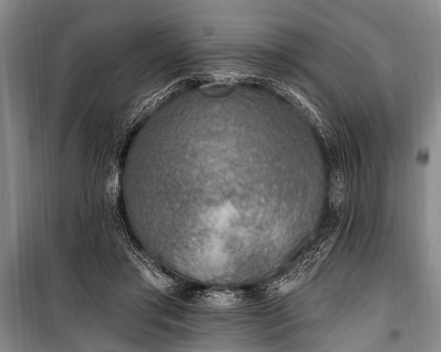 X0000101150405200806270948