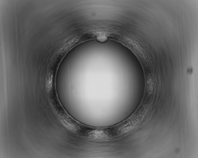 X0000101150406200806270948