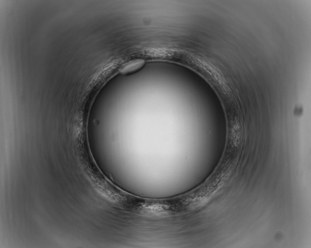 X0000101150407200806270948