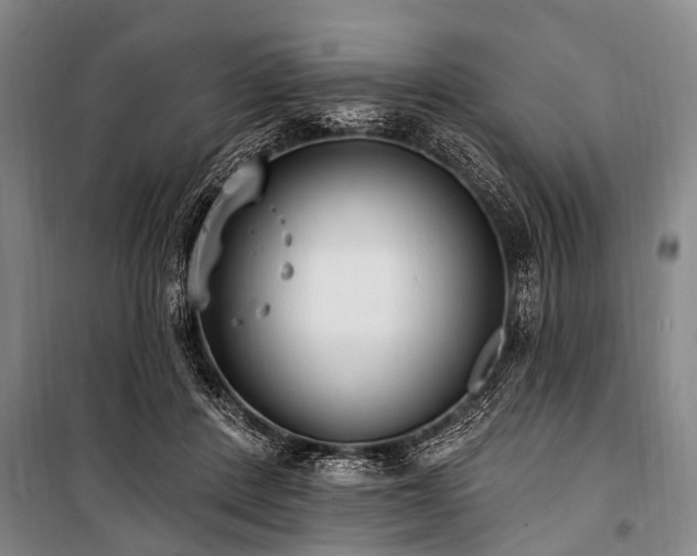 X0000101150408200806270948