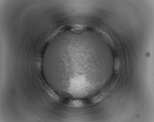 X0000101150409200806270948