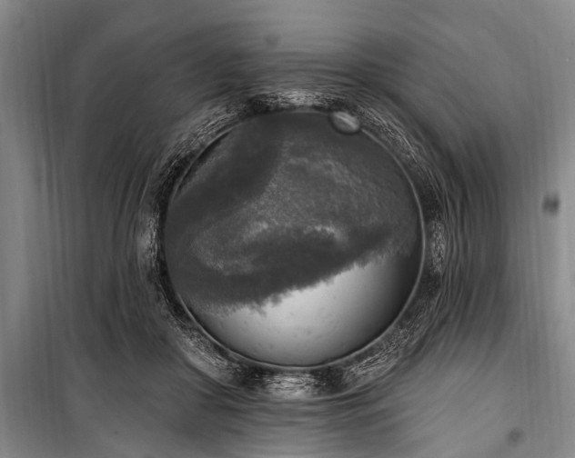 X0000101150410200806270948
