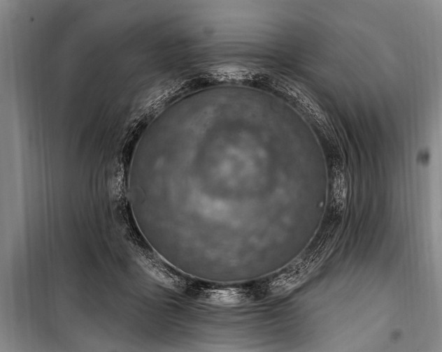 X0000101150411200806270948