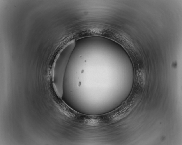 X0000101150412200806270948